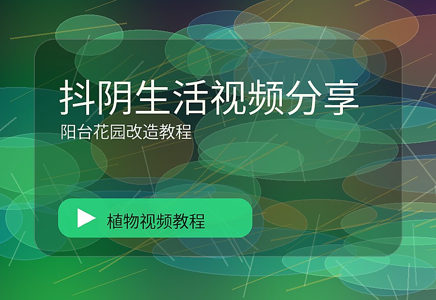 抖阴