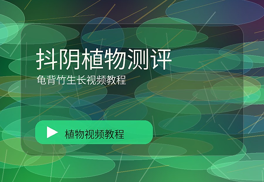 抖阴
