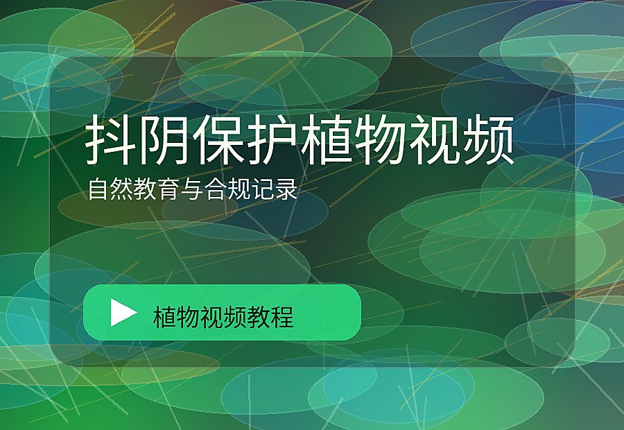 抖阴