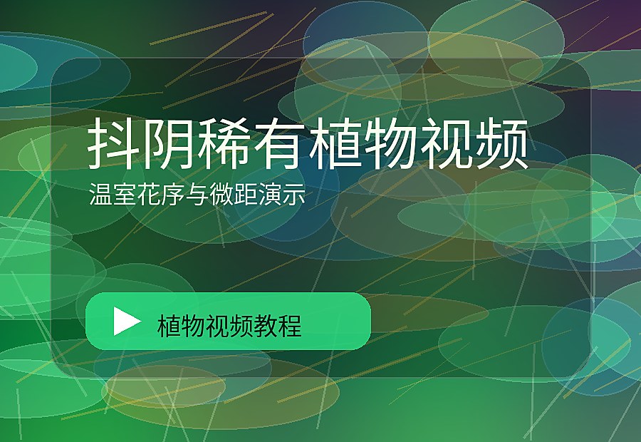 抖阴