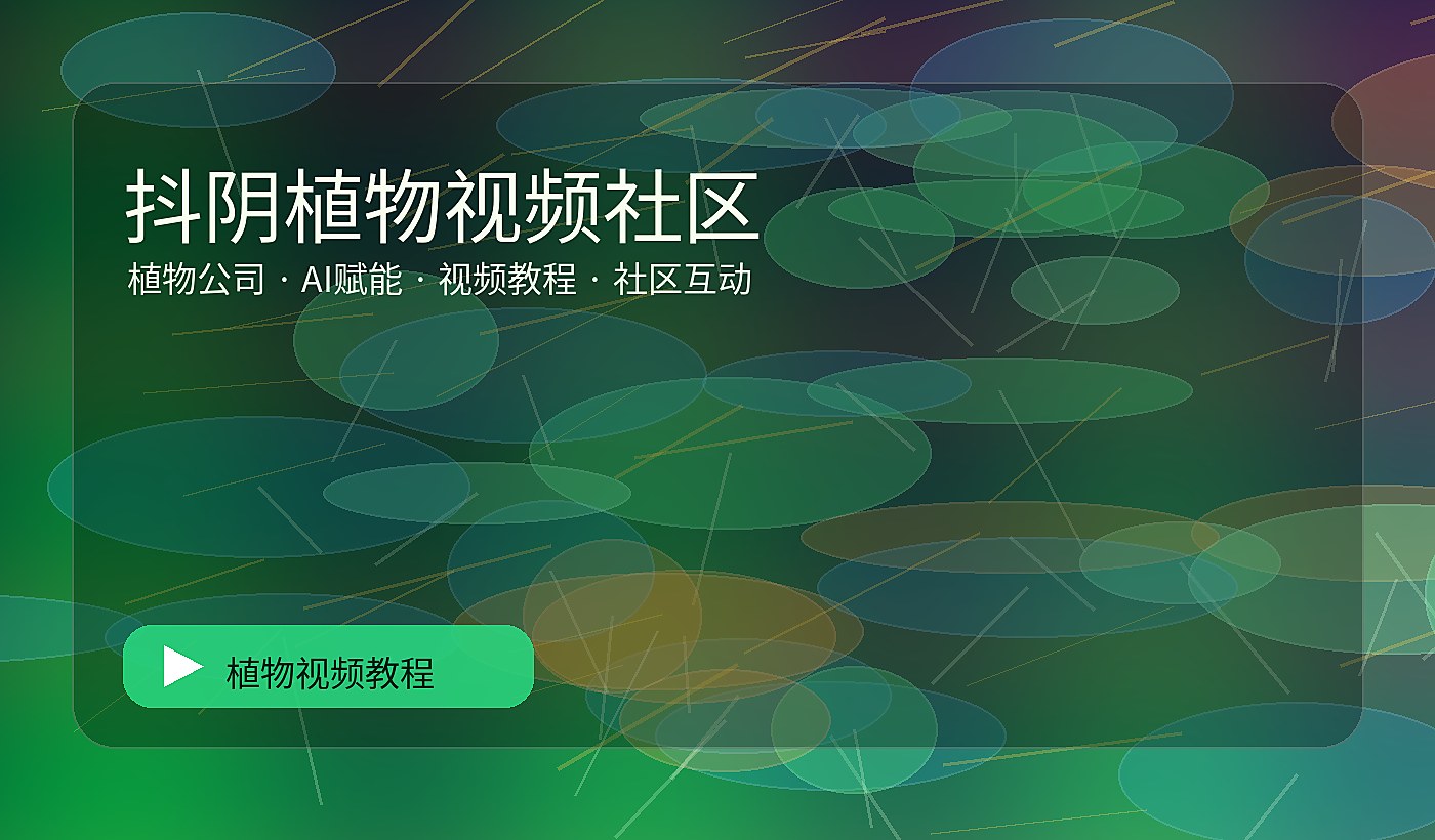 抖阴